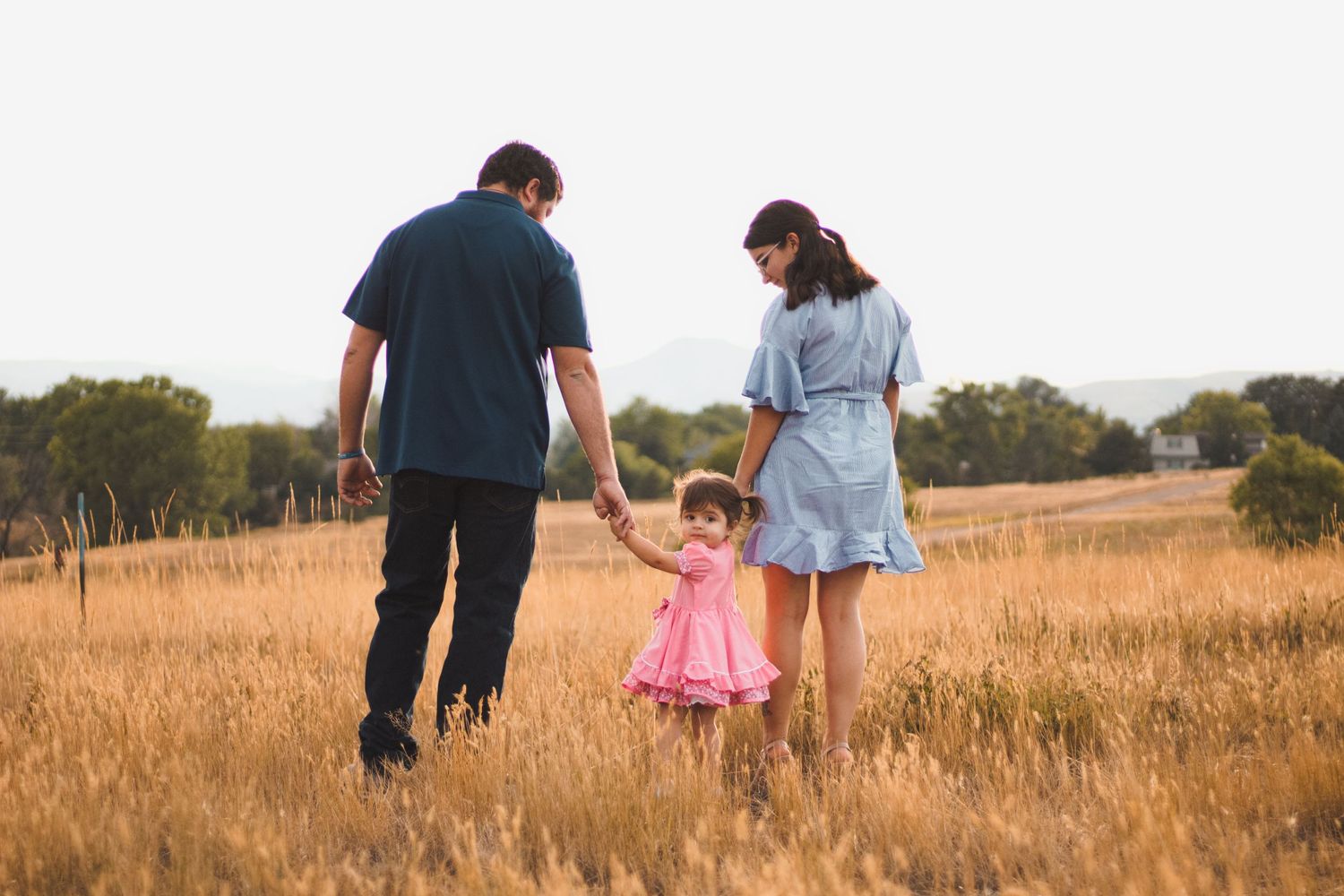 toddler holding hands with parents looking at camera as they walk away in golden field family photo