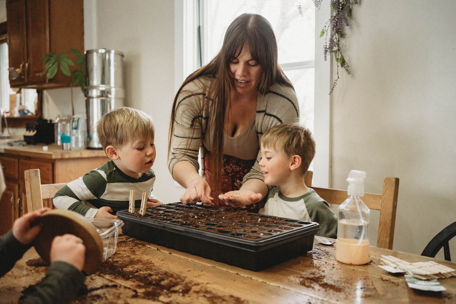 Indoor gardening activity showing seed planting in soil trays on kitchen table.