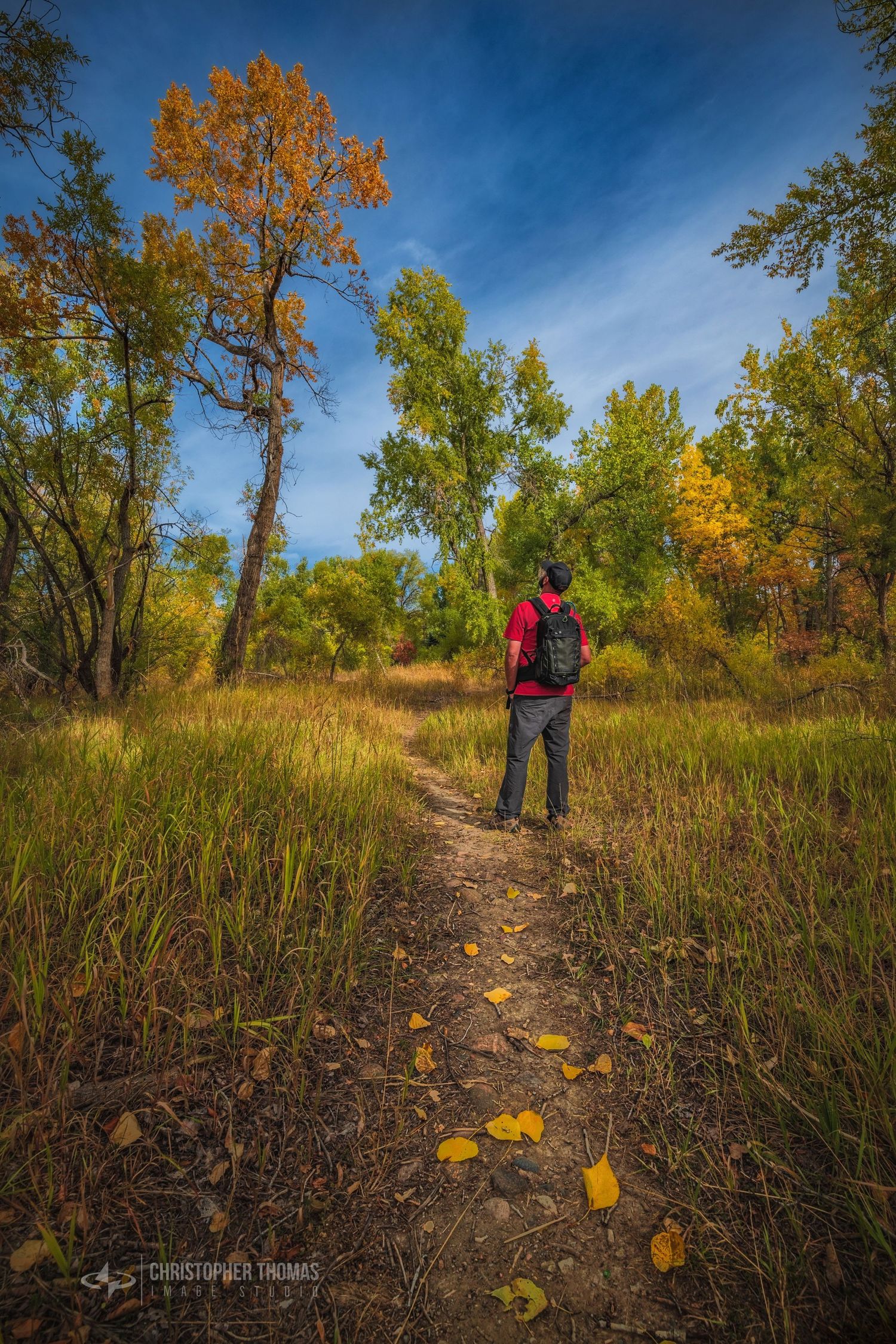 male nature portrait autumn