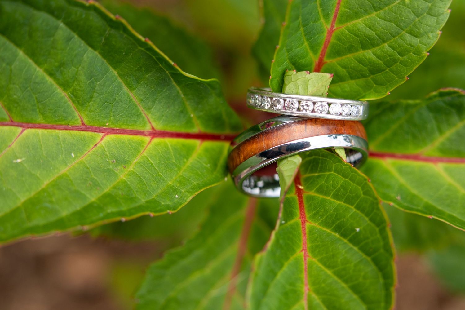 Green leaf holding wedding bands
