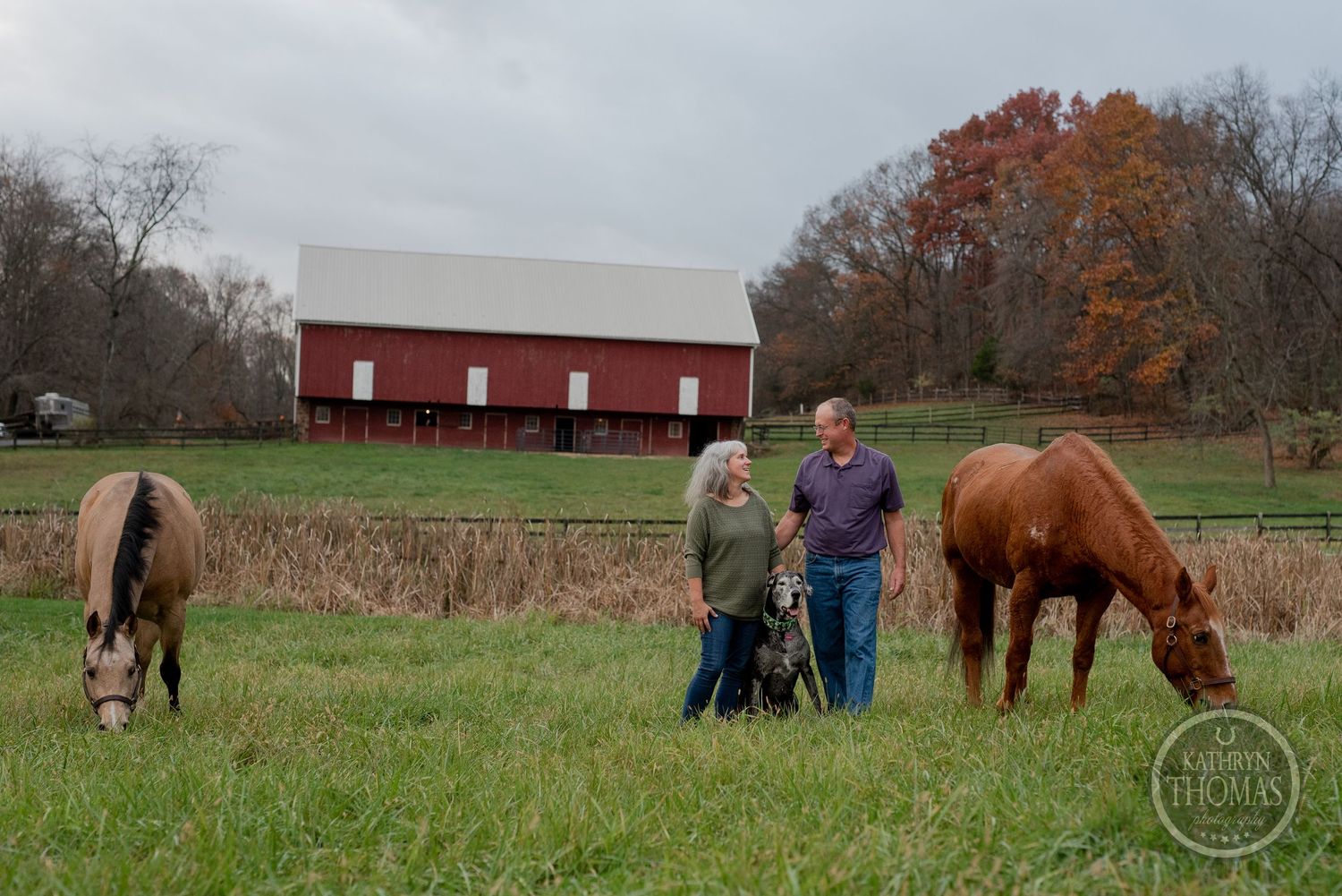 People and their black dog stand between two grazing horses in a field with red barn backdrop.