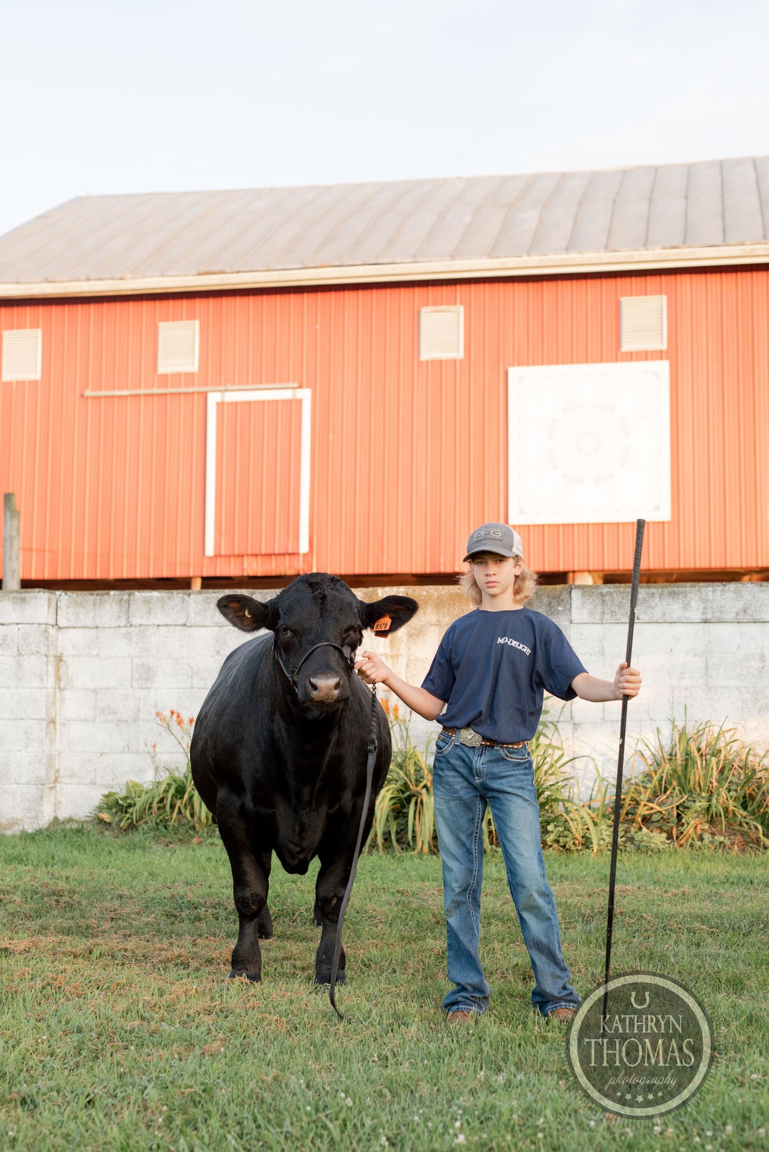 A large black show steer poses next to its handler in front of an orange barn at dusk.