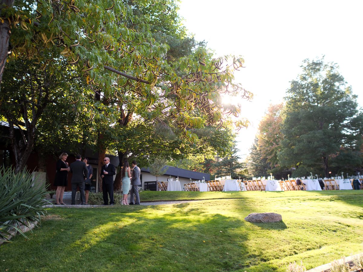 People gather under a shady tree in a grassy park area during golden hour sunlight.