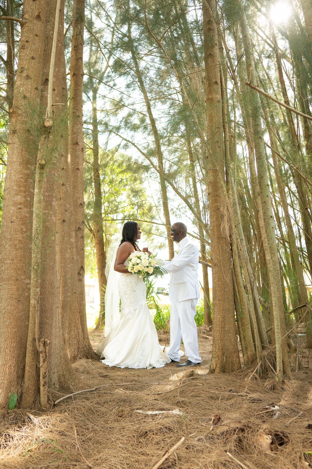 Wedding couple shares romantic moment in sunlit forest of tall trees.