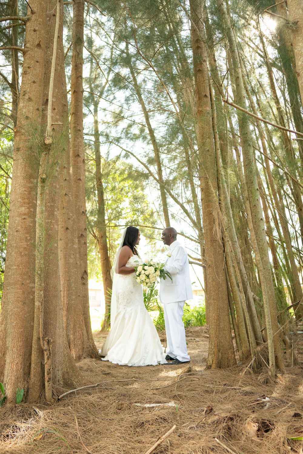 Romantic wedding portrait in a grove of tall pine trees at sunset.