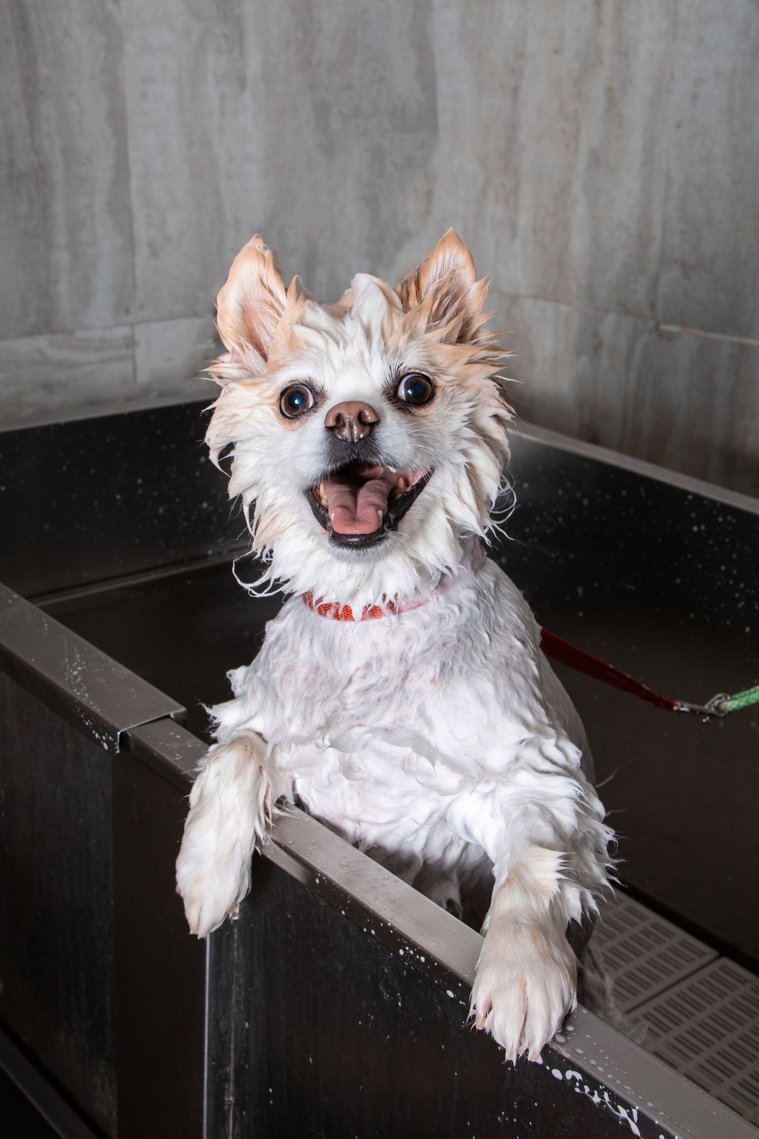 Tub Time 4/5