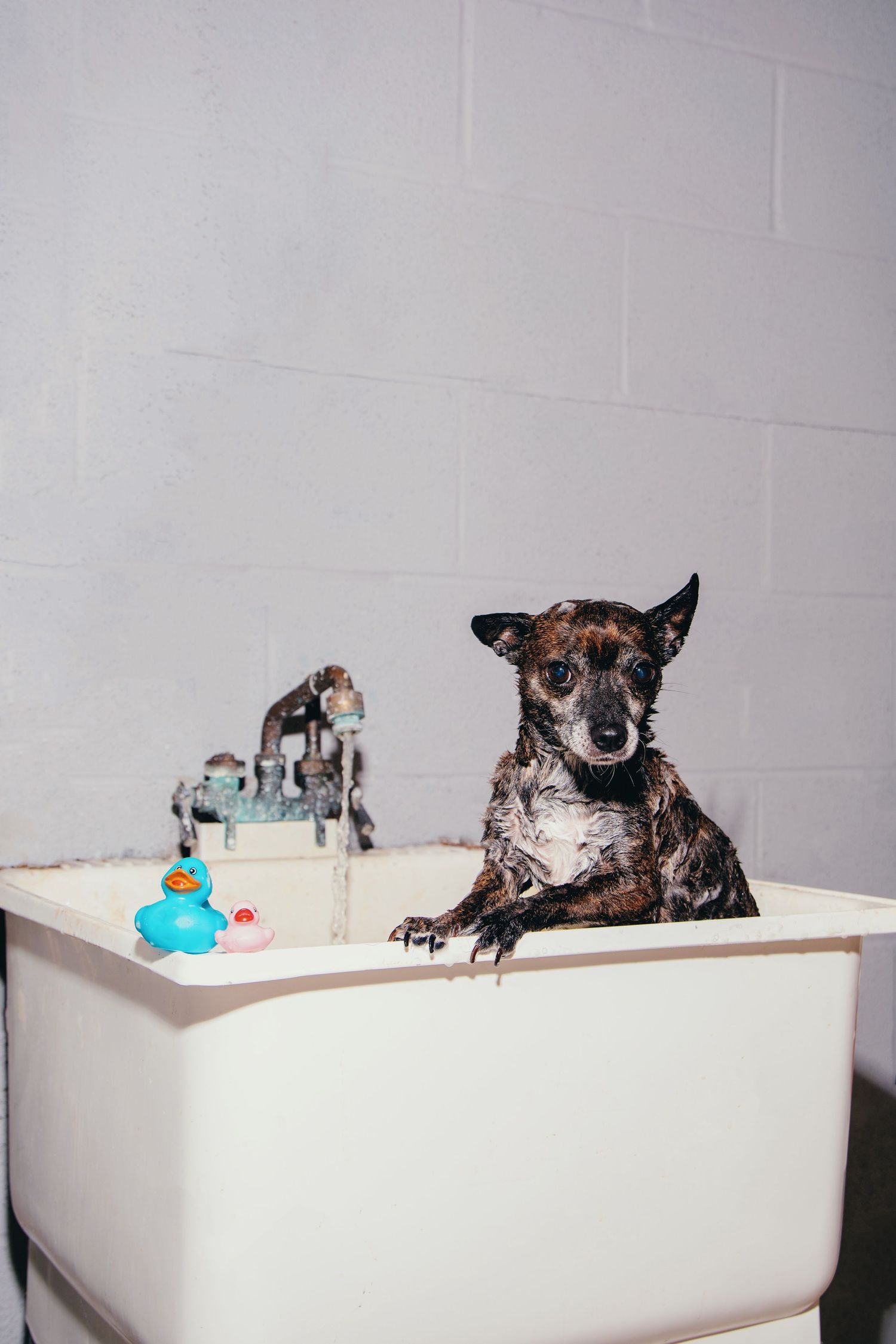 Tub Time 5/5