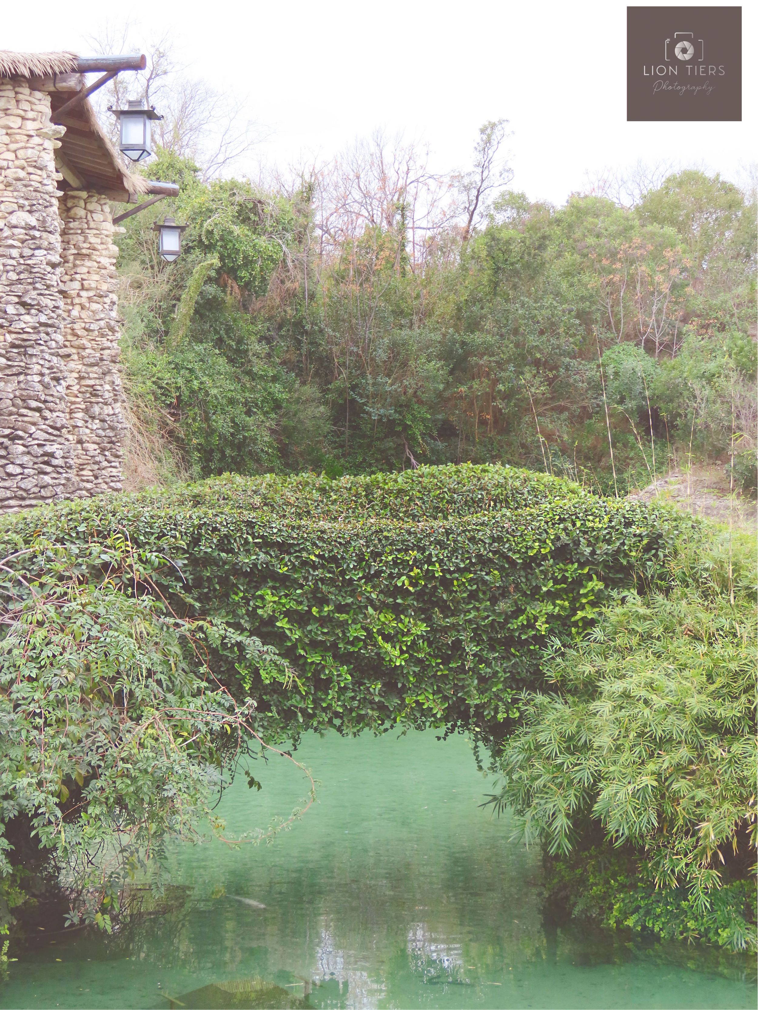 Japanese Tea Garden