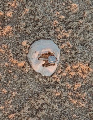 Close-up of a fossilized skull impression embedded in textured rock with orange-tinted lighting.