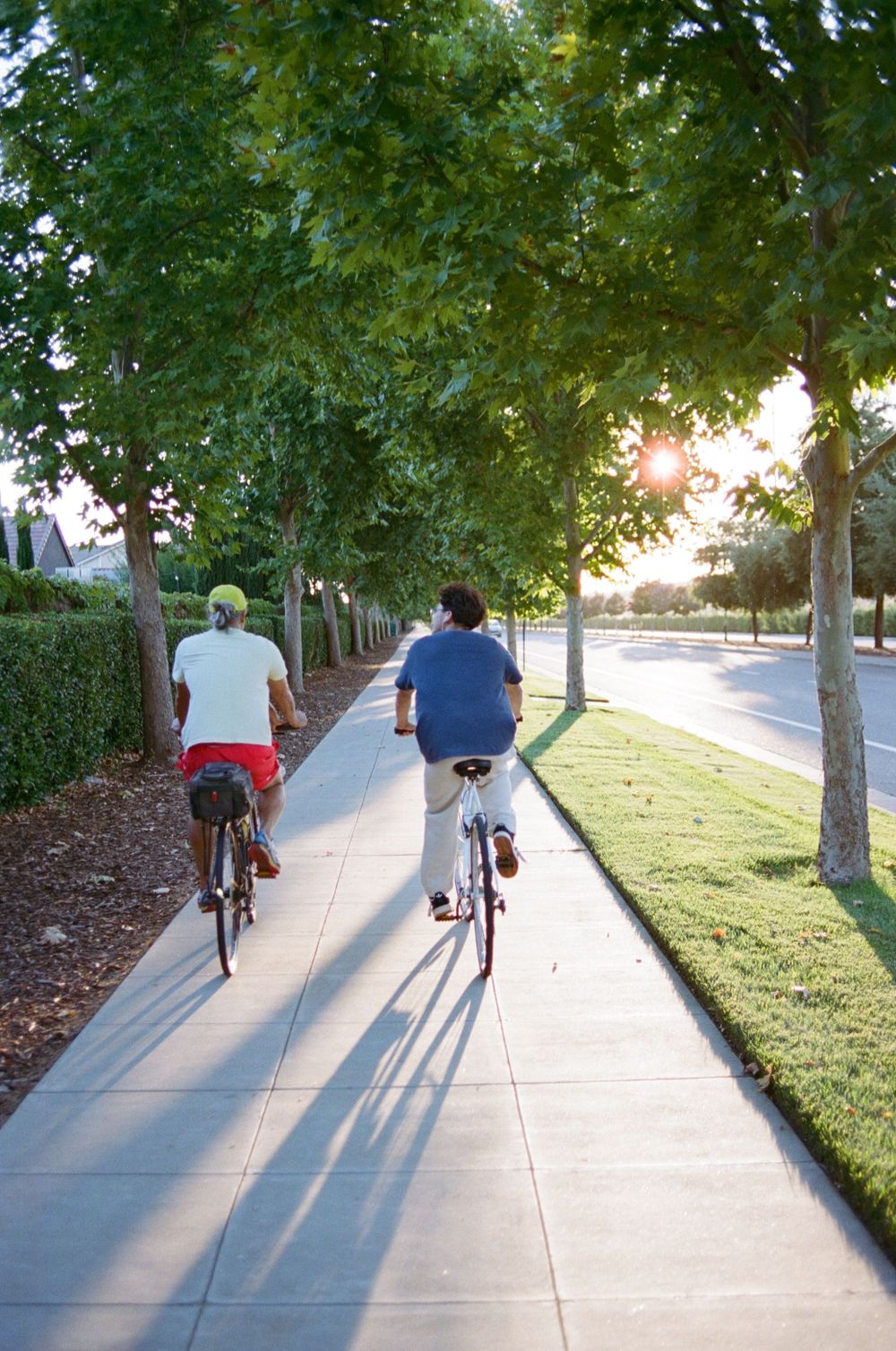 Two people cycling on a tree-lined suburban pathway during golden hour.