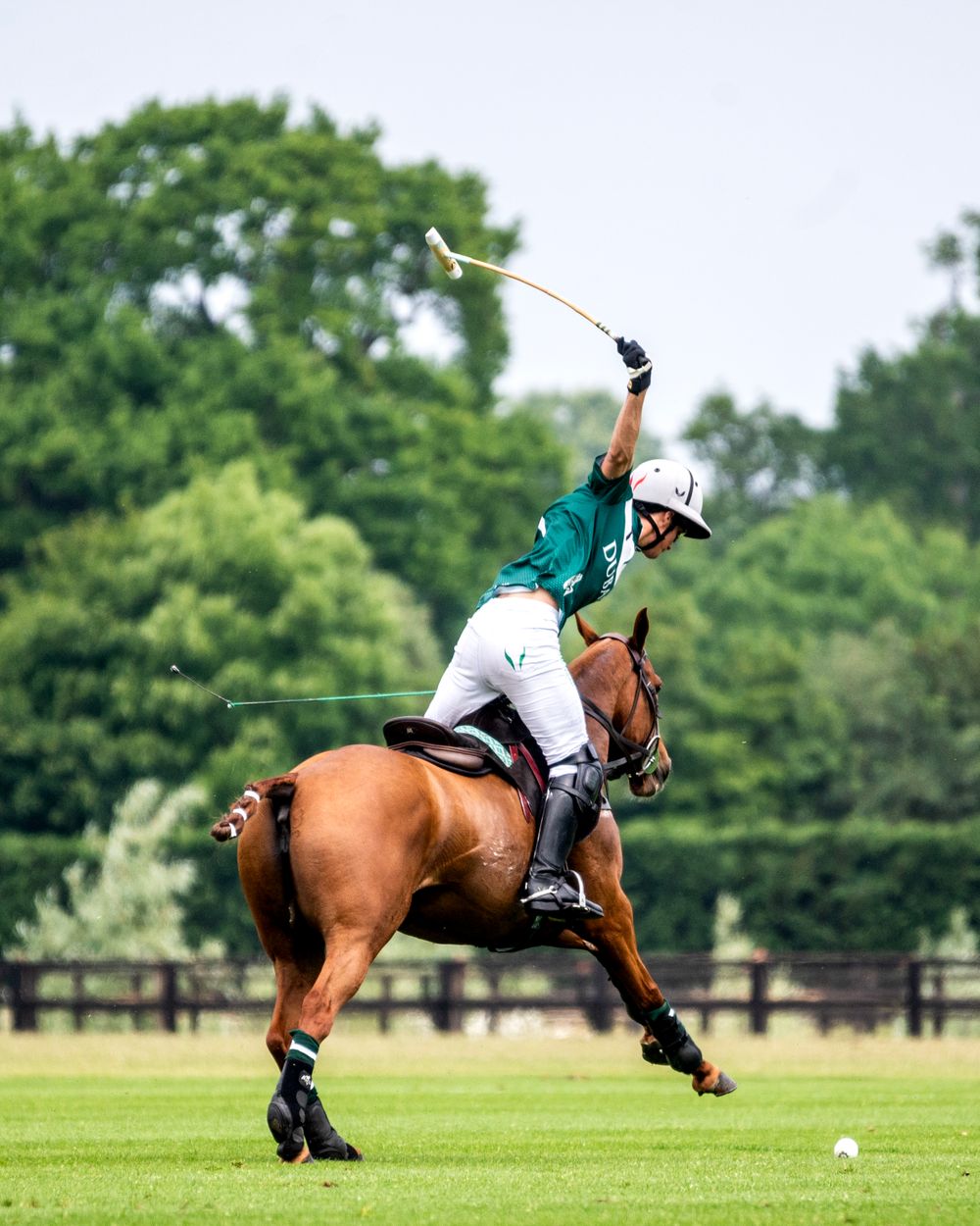 Polo player in a green team jersey leaning forward to take a full offside swing on a chestnut pony during a match.