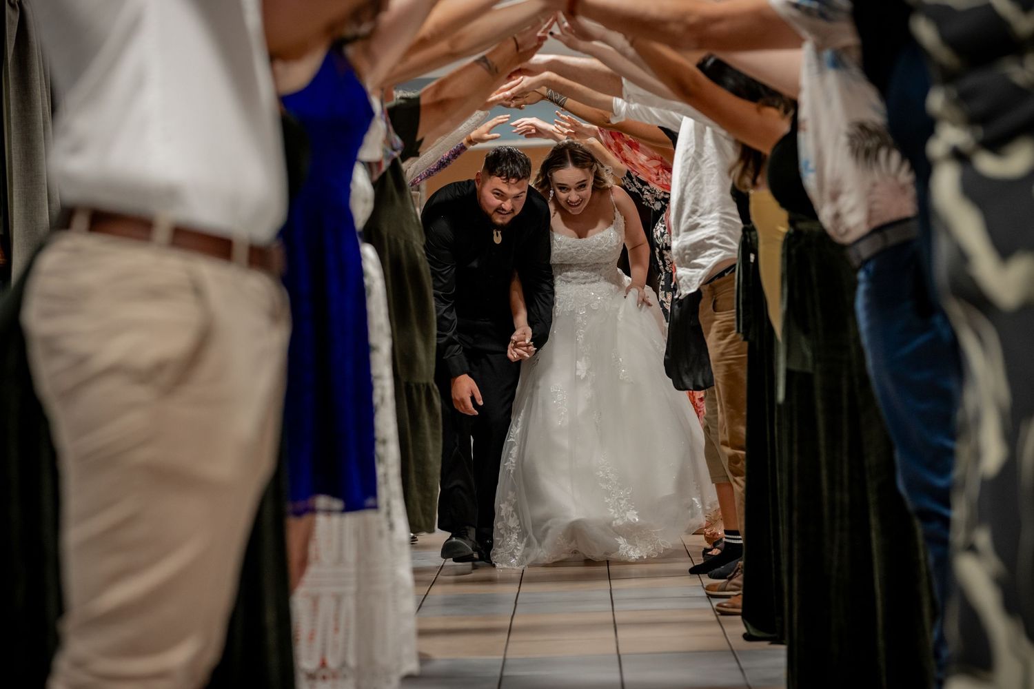 wedding arch photos Hamilton