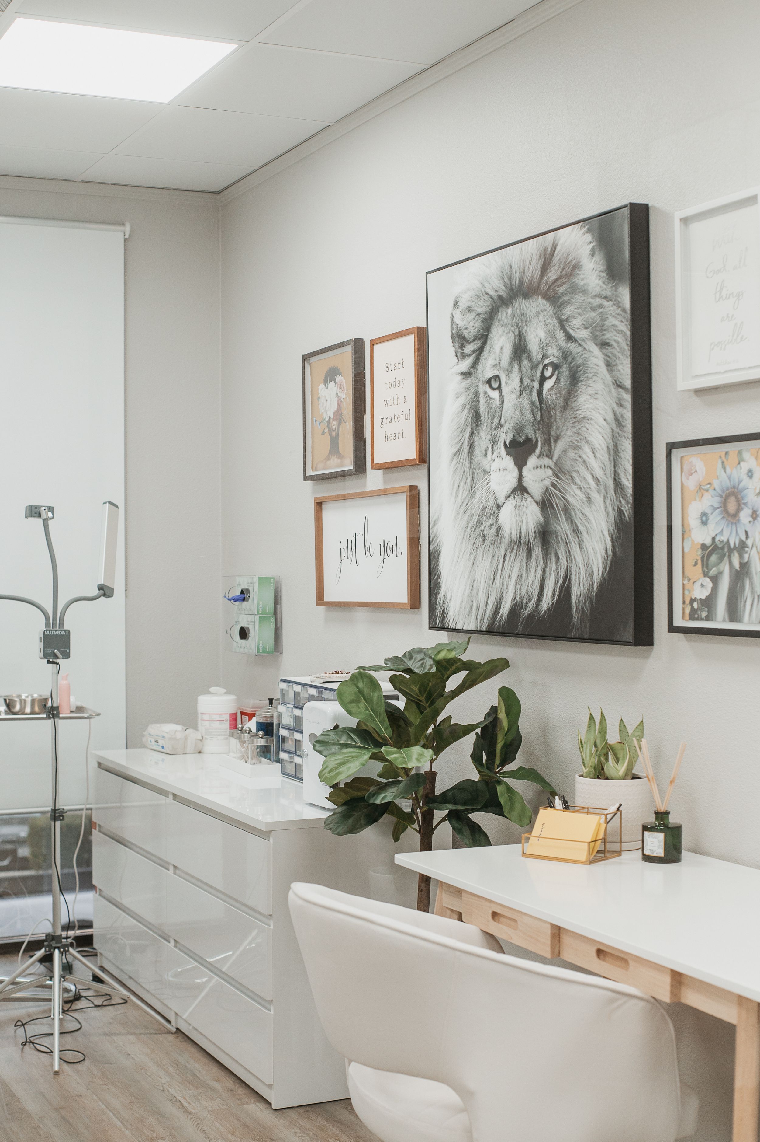 Clean medical office interior with lion artwork and minimalist decor.