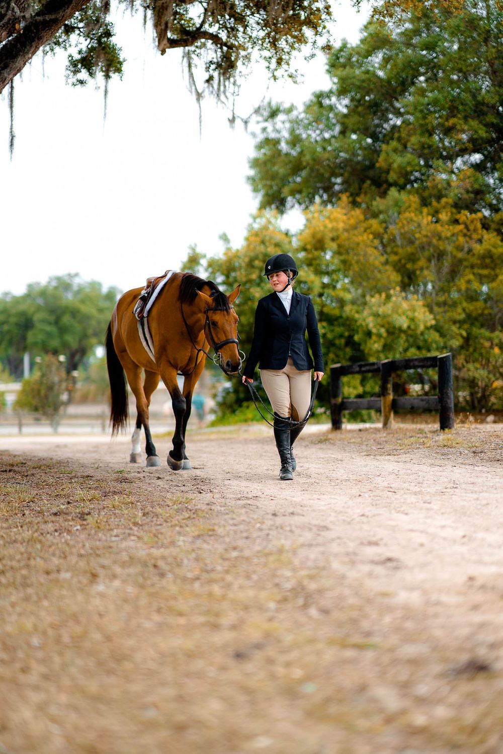 An equestrian in formal attire leads a brown horse along a tree-lined path.