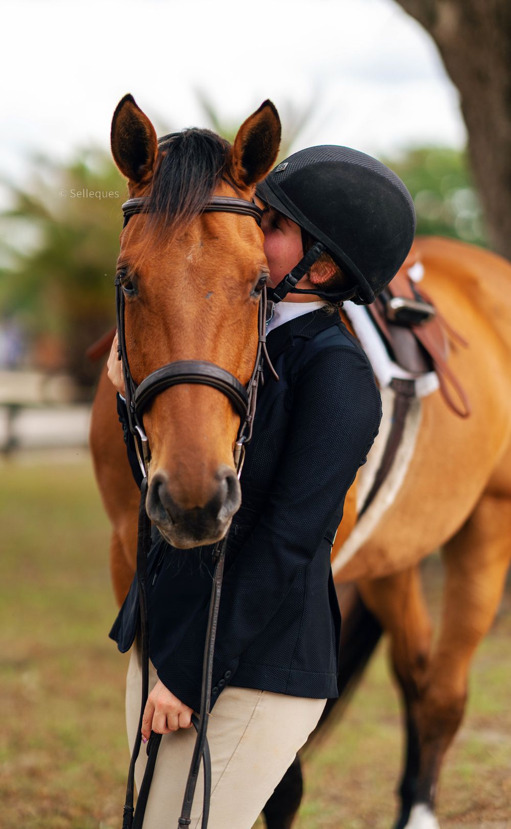 A warm embrace between an equestrian and their chestnut horse showing their close bond.