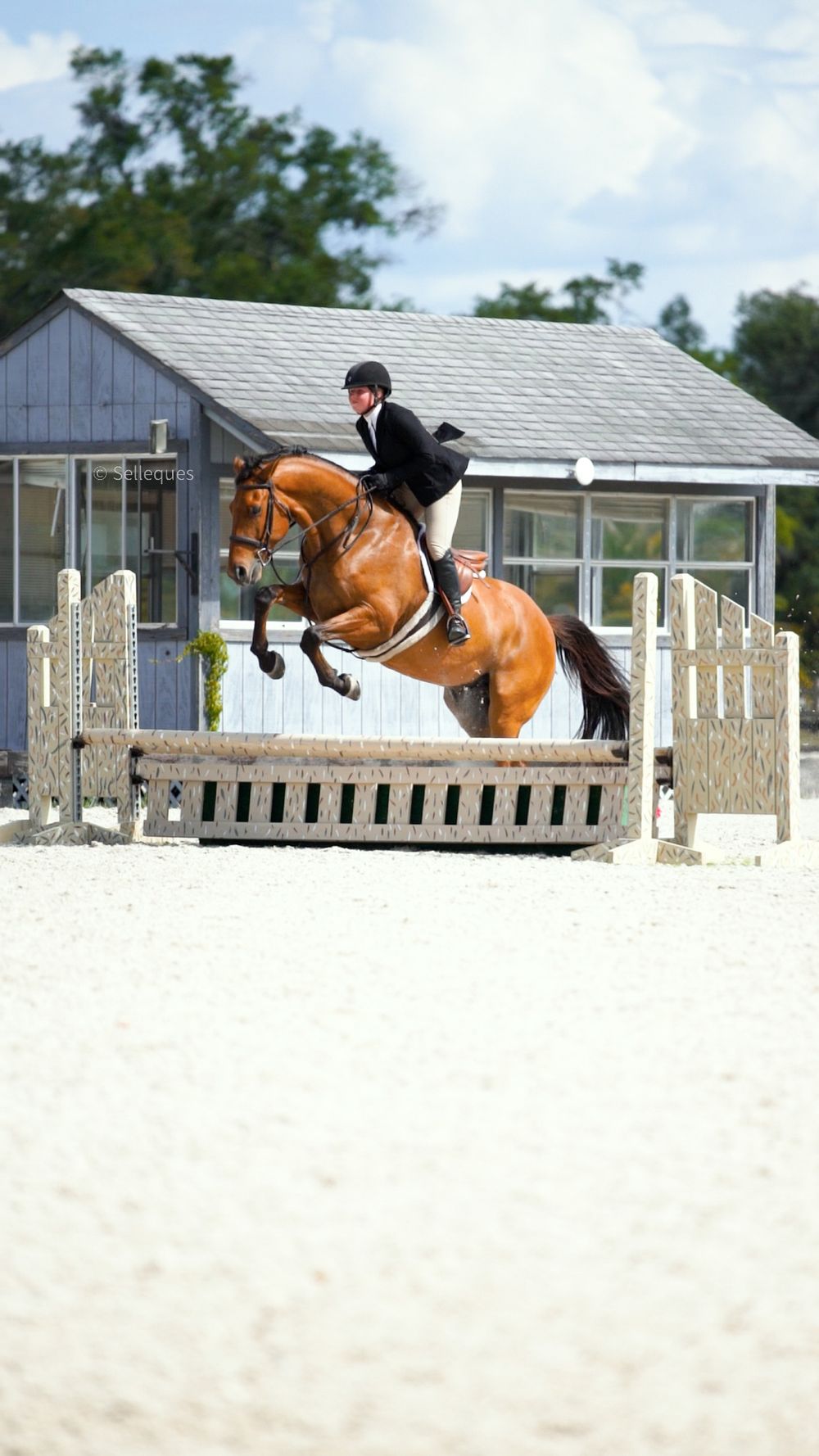 A chestnut horse and rider clearing a jump during an equestrian competition.