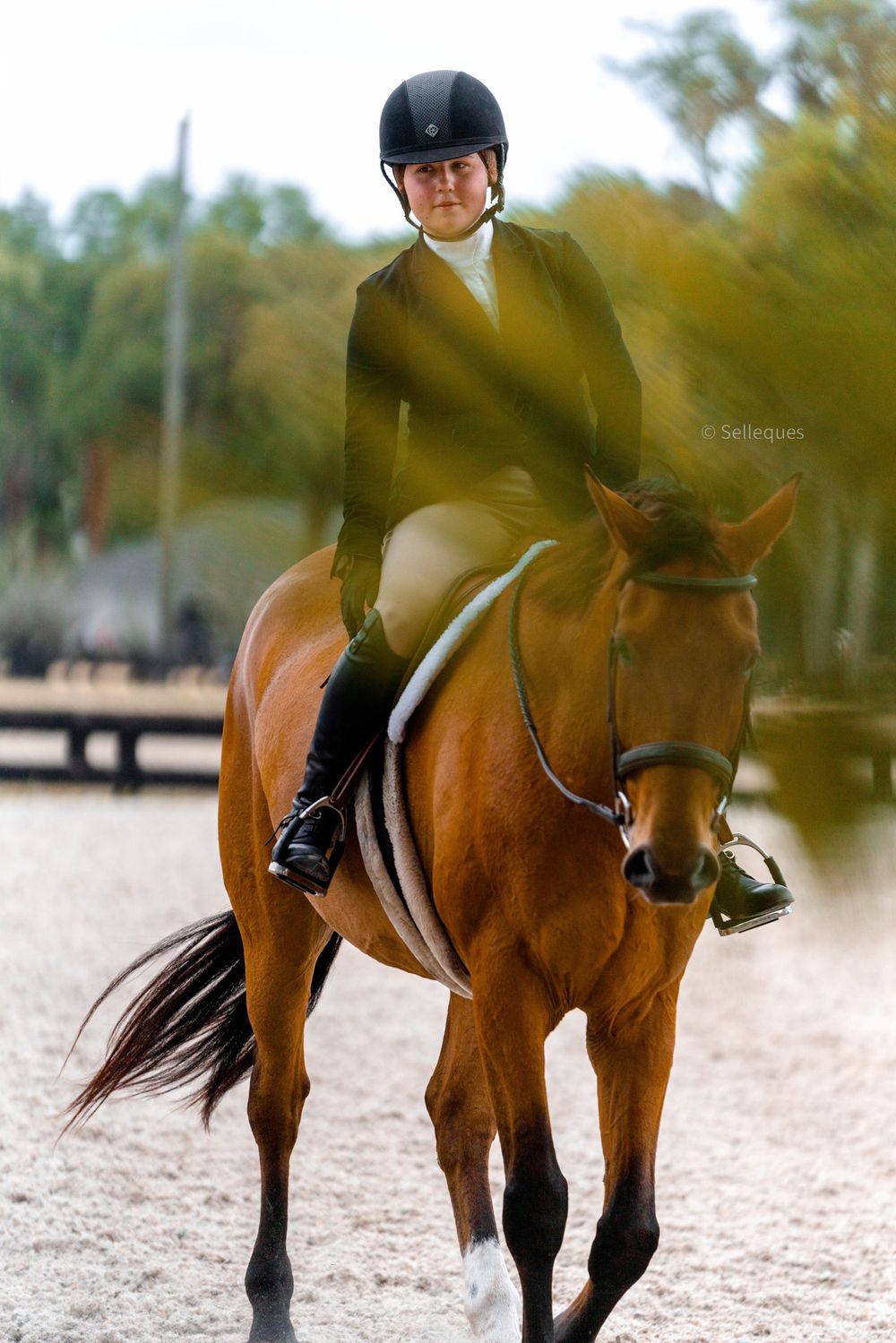 An equestrian rider in formal attire guides a chestnut horse during a competition.