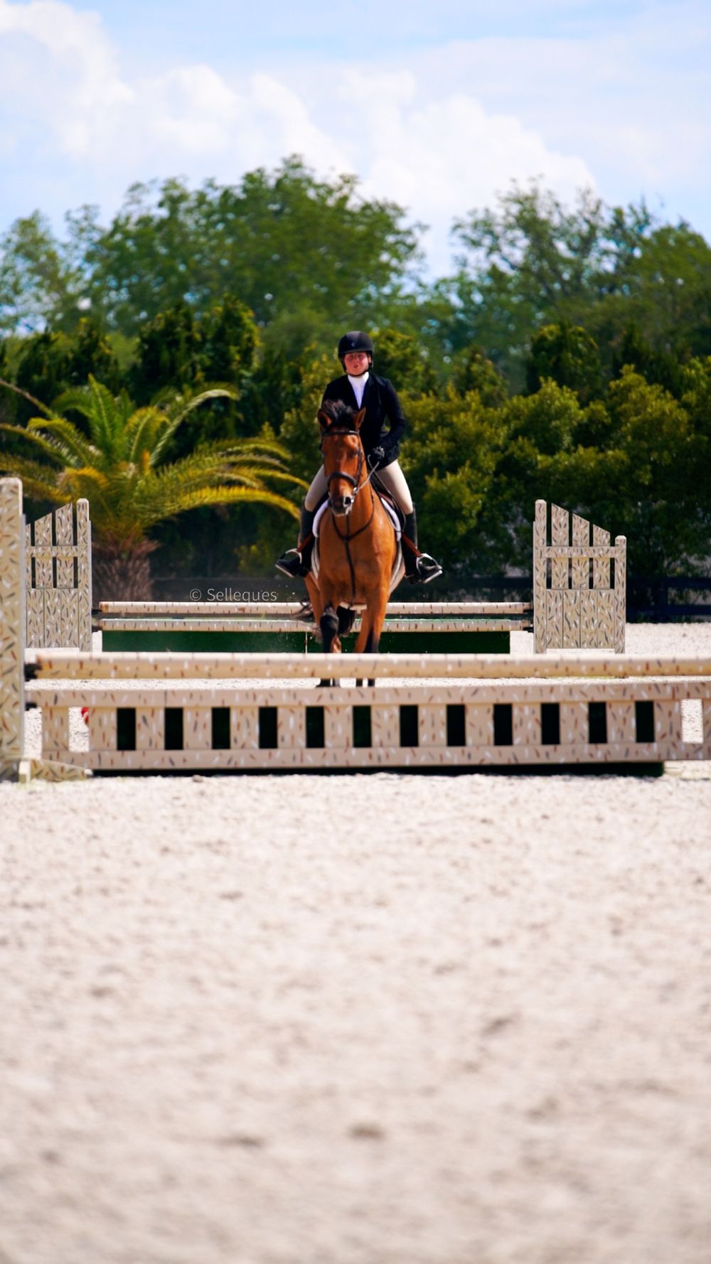 A show jumper and mount clearing an obstacle during an equestrian competition.