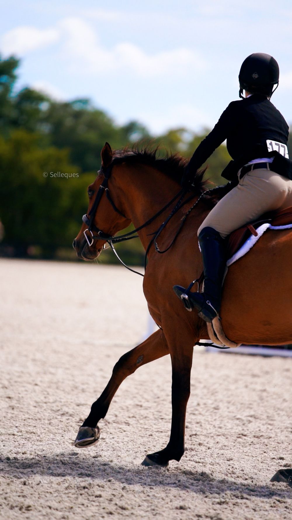 A competitive rider on a chestnut horse photographed from behind during an equestrian event.