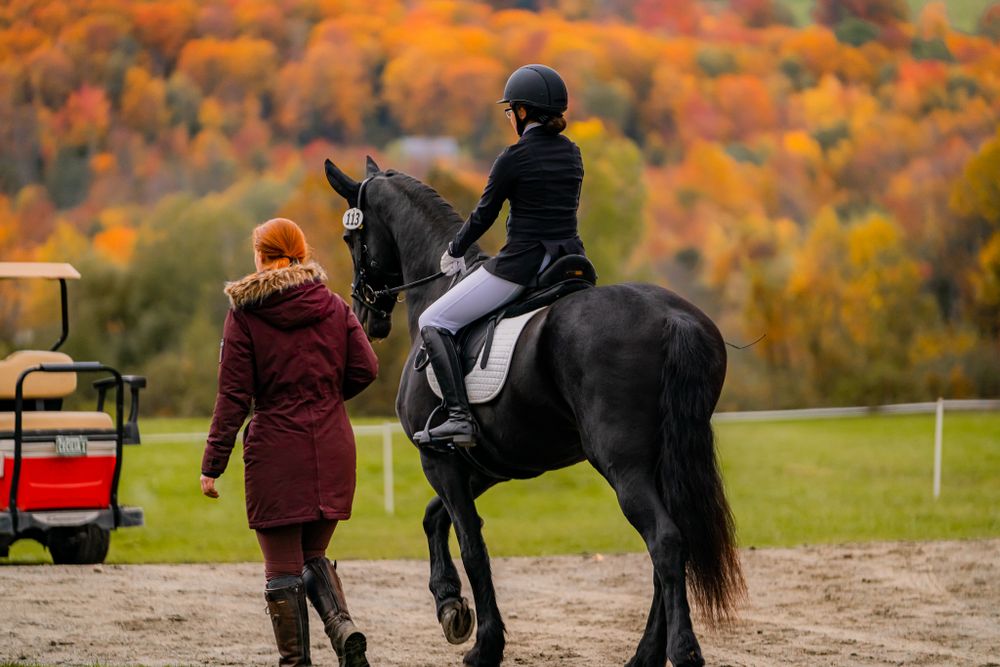 Black horse and rider receiving instruction in outdoor arena with stunning fall colors.