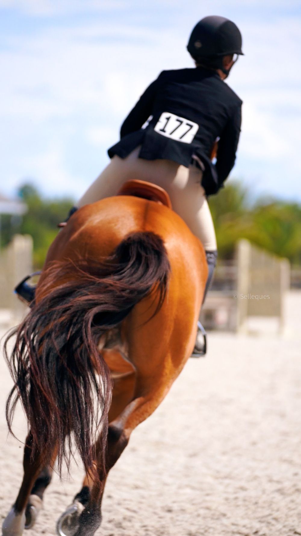 A rider in competition attire atop a chestnut horse in an equestrian arena.