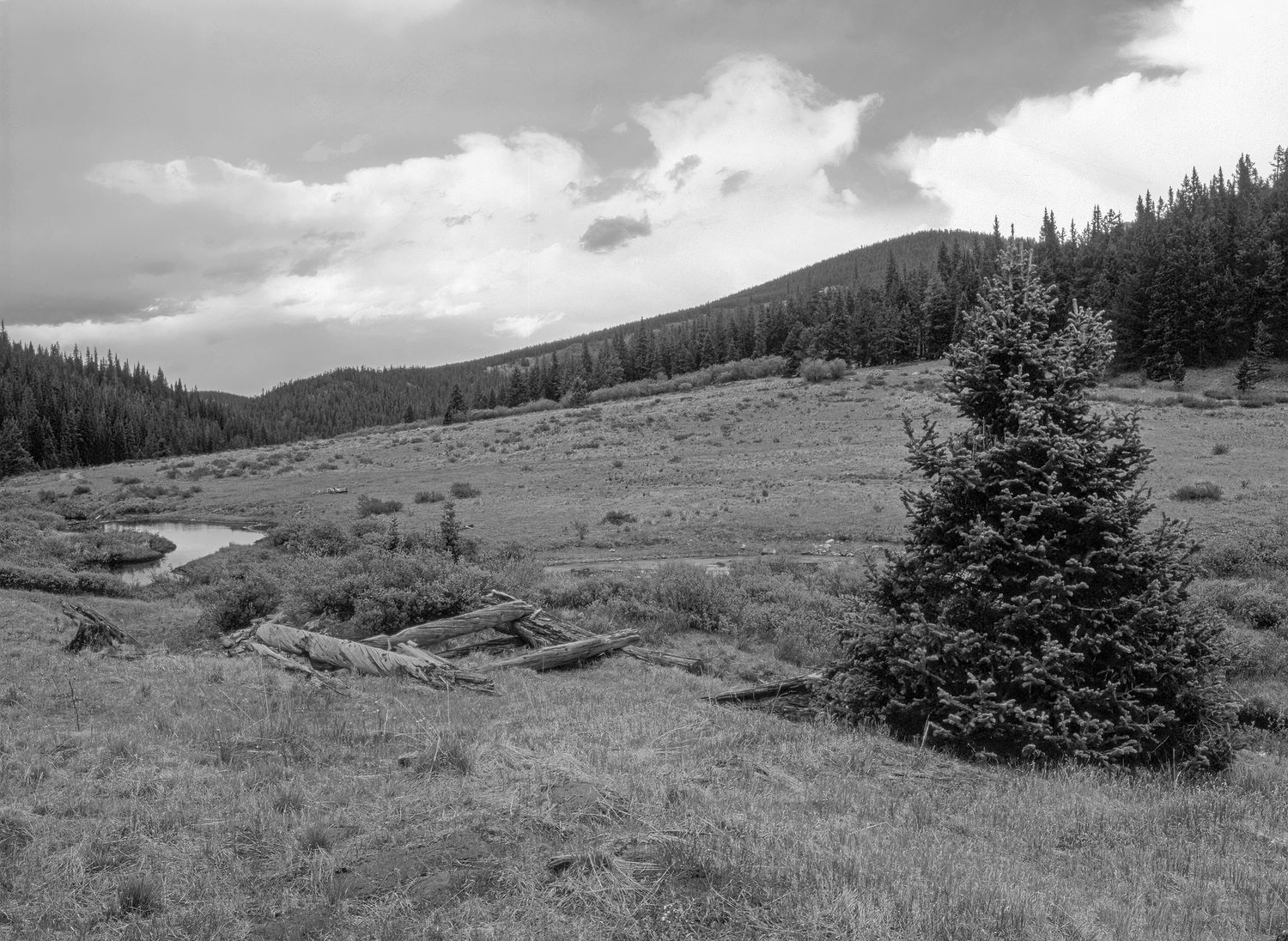 Conger's Camp, Colorado
