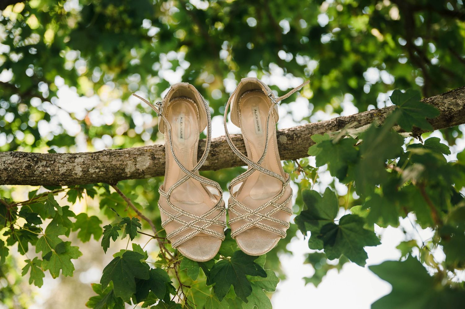 Elegant beige bridal shoes displayed on a tree branch with green leaves in the background.