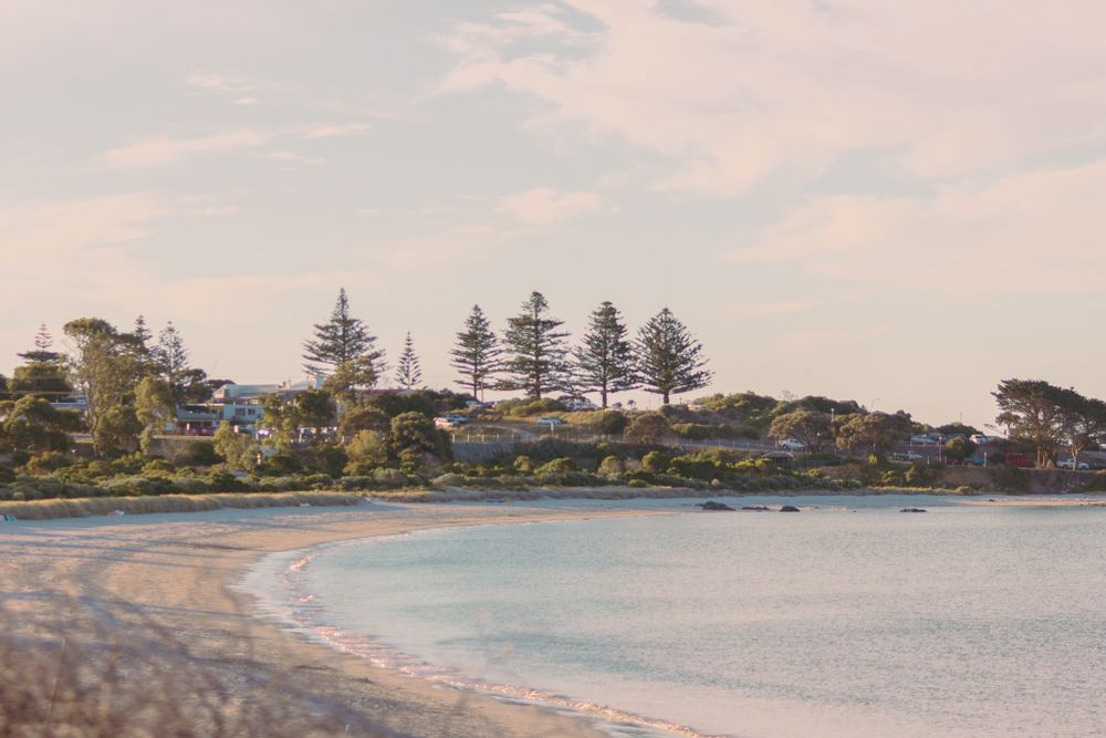 Aerial view of a curved sandy beach with coastal homes and pine trees in the distance.