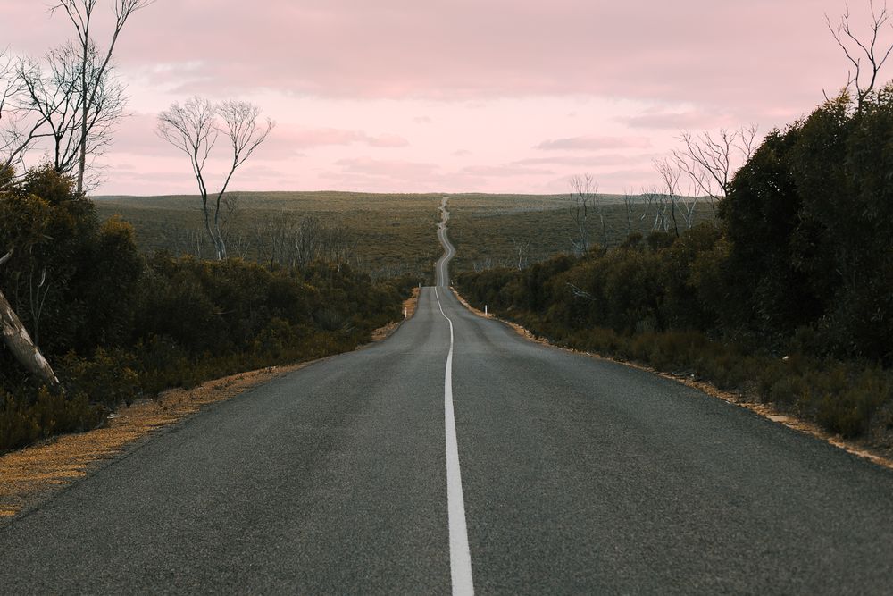 Winding highway through rural landscape with pink sky and sparse vegetation on both sides.
