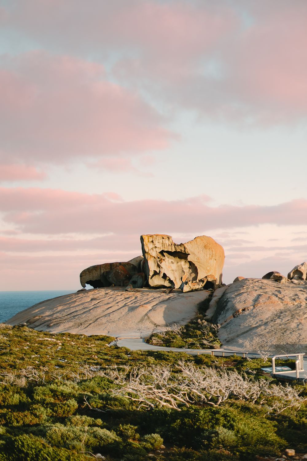 Remarkable Rocks formation at sunset with pink sky and coastal vegetation.
