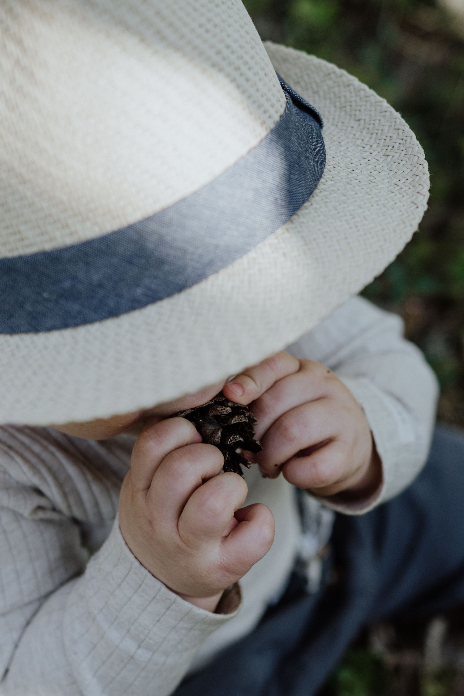 Small hands holding a pinecone beneath a white fedora with navy band.