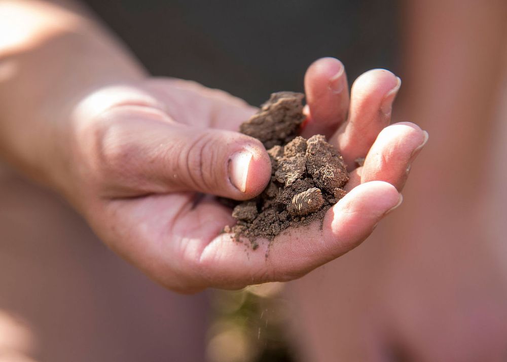 Hands in soil Denver Colorado commercial photographer Anthony Camera