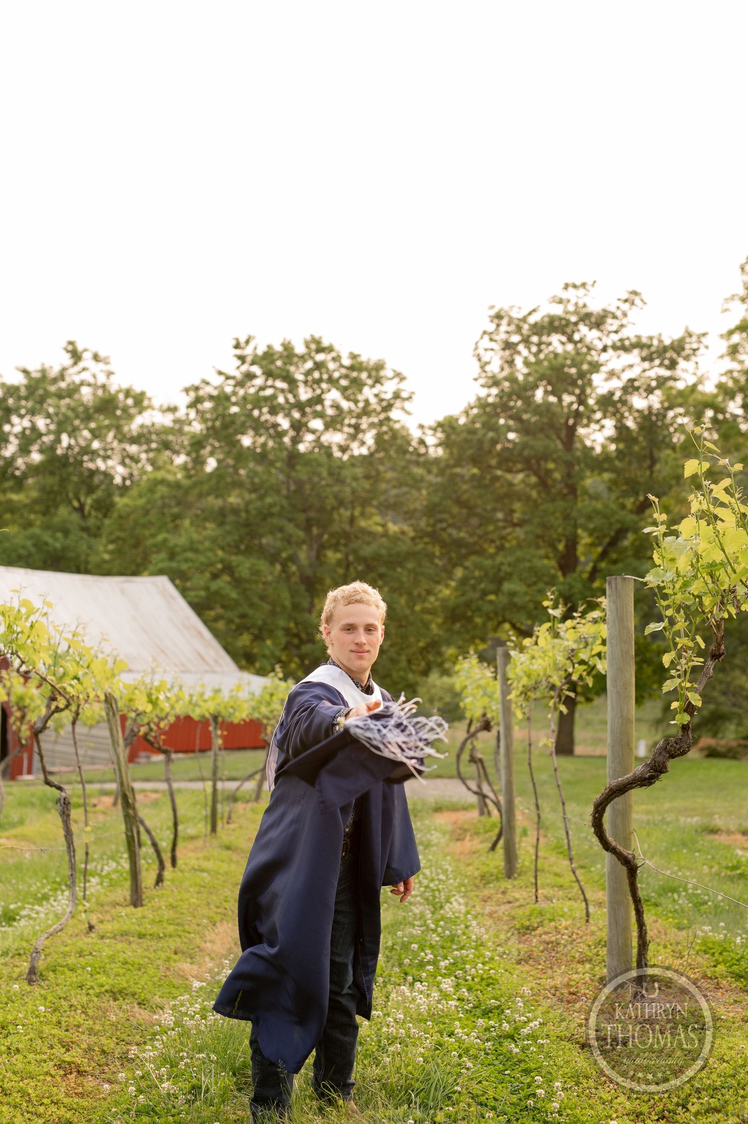 Person in navy graduation robe poses in vineyard holding diploma at golden hour.