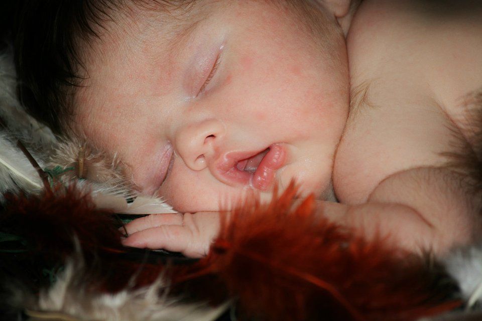 Close-up artistic portrait series with red feather accents.