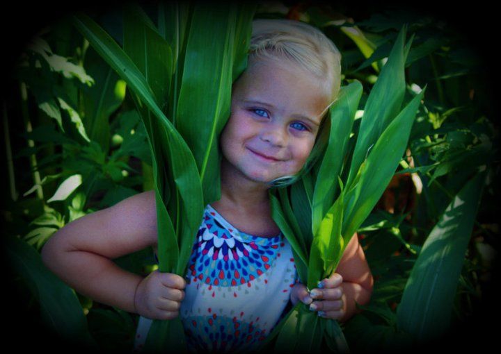 Playful portraits taken among tall green corn or bamboo stalks.