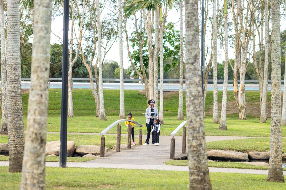 People walking through a scenic path lined with birch trees in a public park.