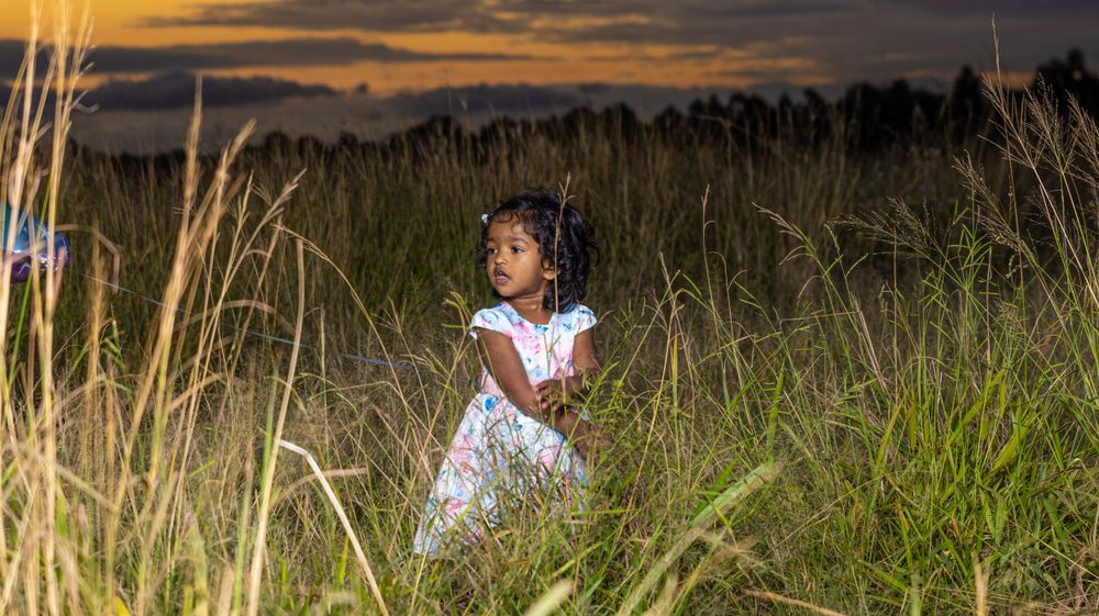Child in white dress exploring through golden grass at sunset.