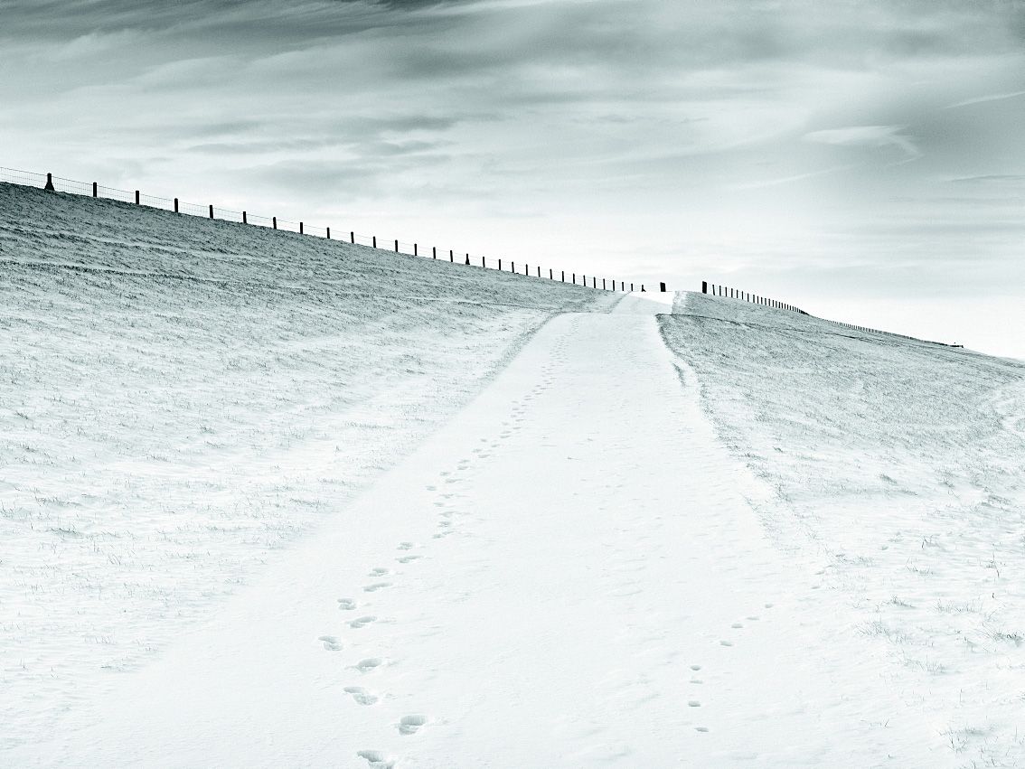 Winter landscape in atmospheric tones