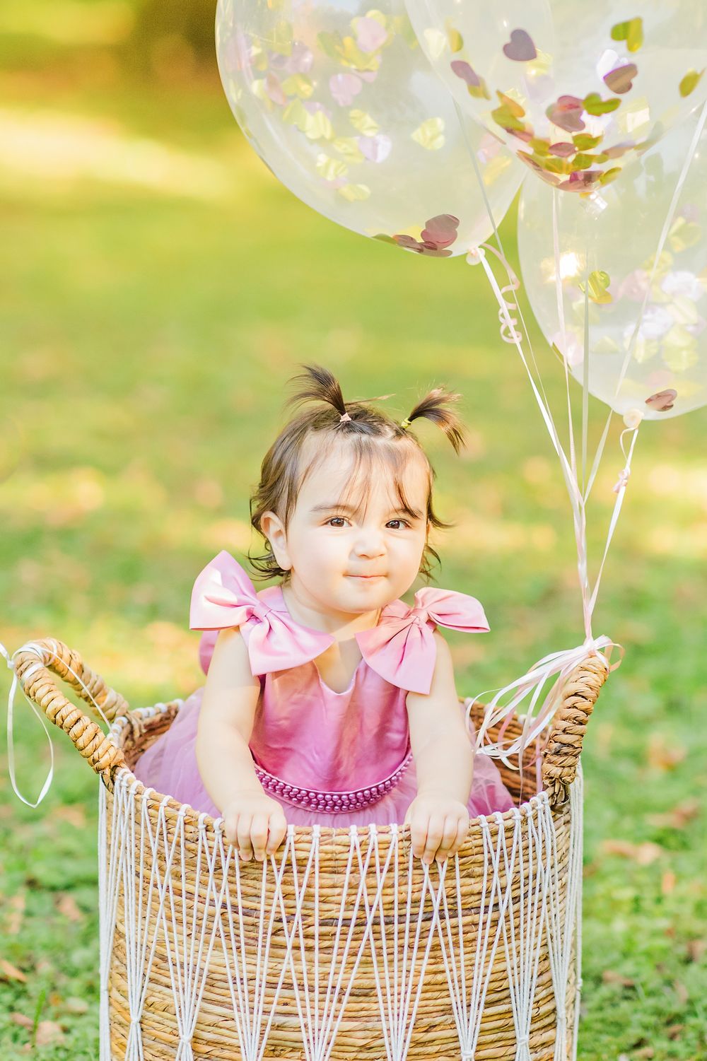 first birthday photos, Knoxville family photographers, Knoxville photographers, kids photographers Knoxville