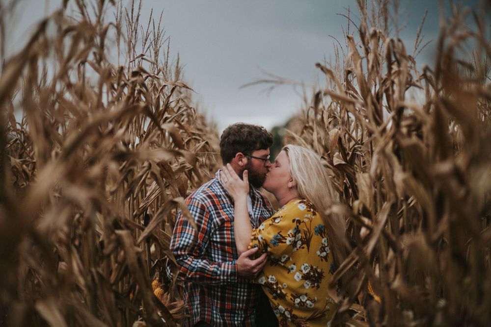 A romantic couple embraces among tall dried corn stalks during an engagement photoshoot.