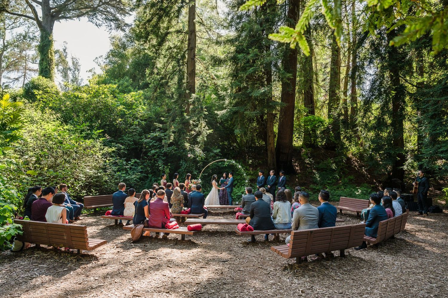 An intimate forest wedding ceremony with guests seated on wooden benches among tall trees.