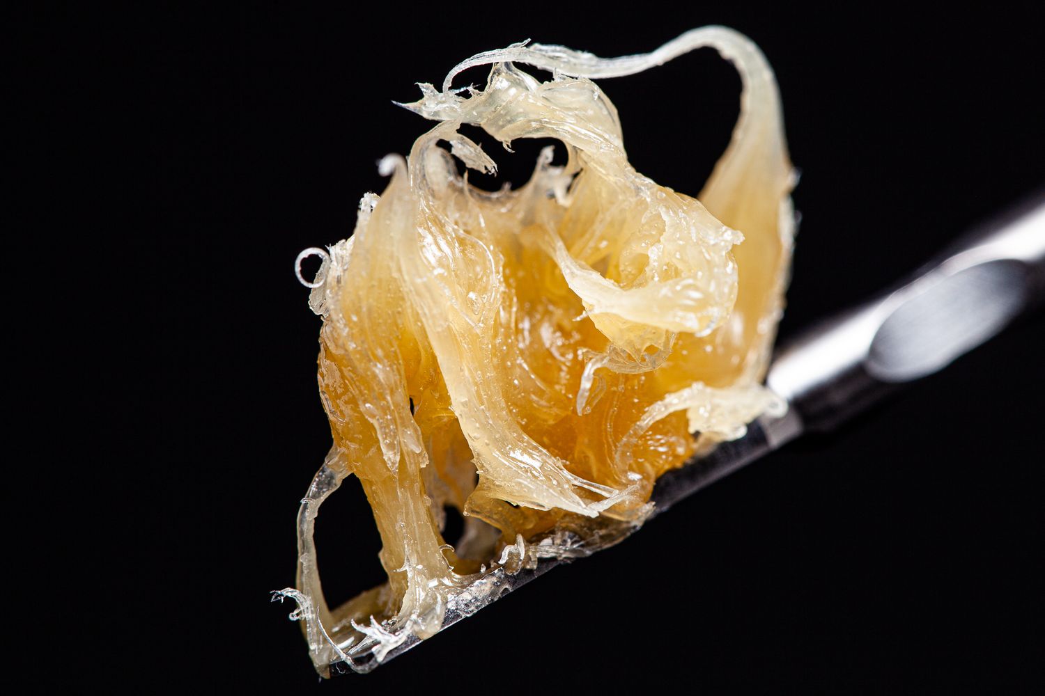 Emerald Leaf Organics ELO Gorilla Butter x GMO Live Rosin