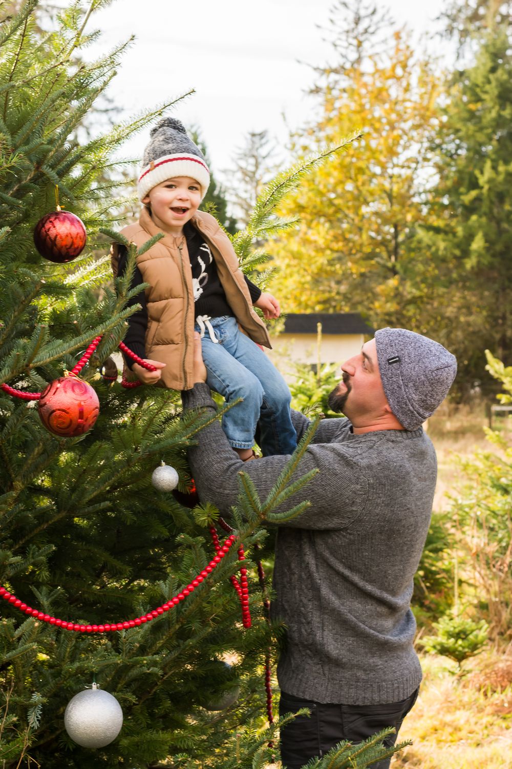 A father proudly lifts his two year old son up to decorate the outdoor Christmas tree.