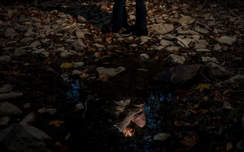 Dark moody forest scene with scattered rocks and fallen leaves on the ground.