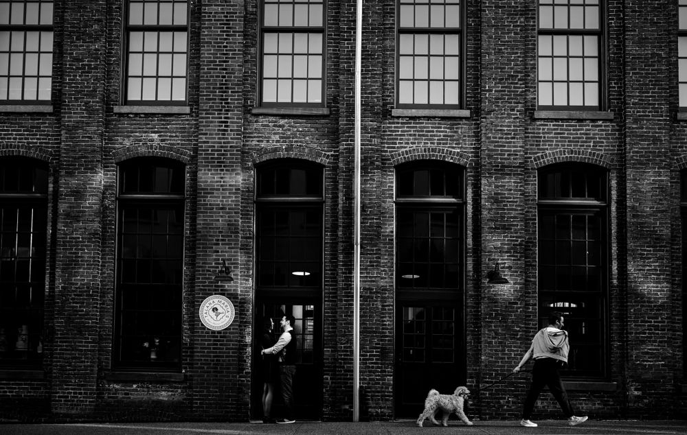 Historic brick building facade with repeating windows creates architectural symmetry.