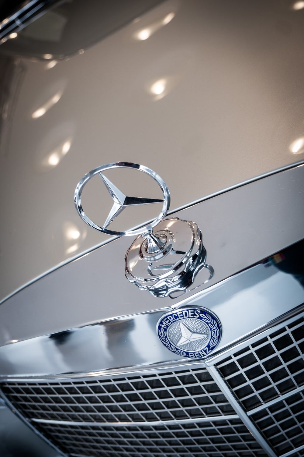 Close-up of a polished chrome Mercedes-Benz hood ornament and grille badge on a classic vintage automobile.