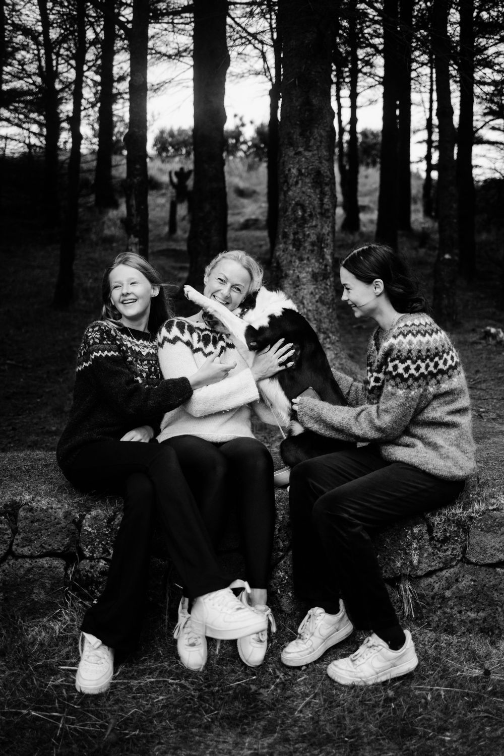 Three people in patterned sweaters sit on a log in the woods sharing a lighthearted moment.