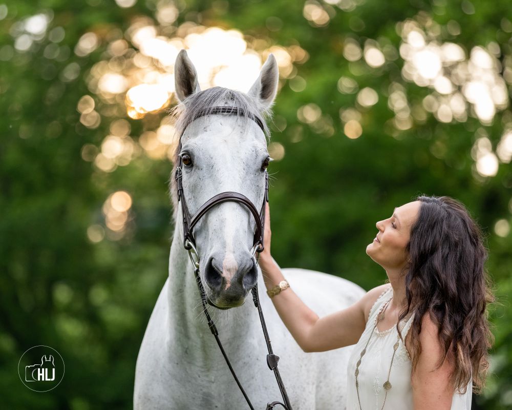 A beautiful white horse with its companion in a sunlit forest setting.