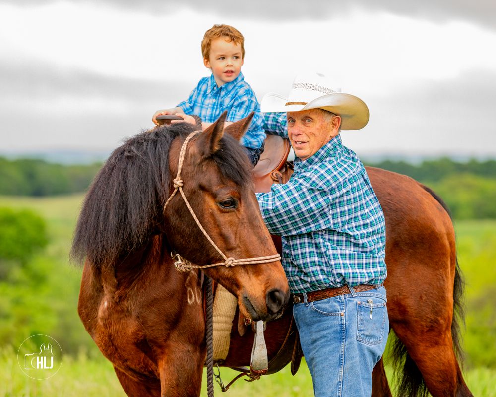 A brown horse being guided by two people in a lush green field setting.