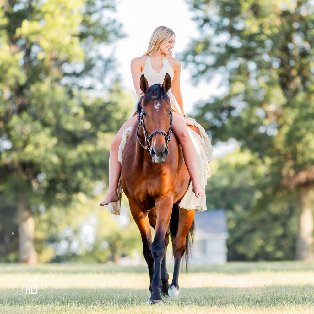 A bay horse with black leg wraps being ridden in an outdoor setting.